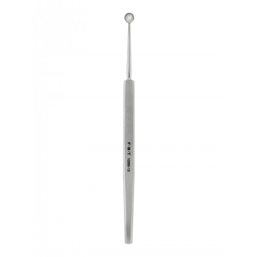 Mirror Finish Cutting Spoon