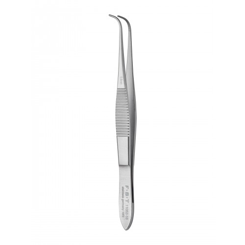 Graefe Forceps
