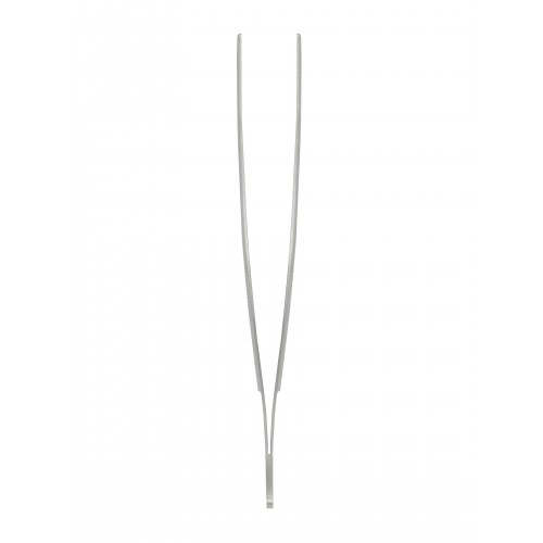 Student Anatomical Standard Pattern Forceps