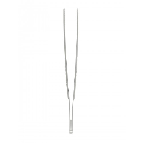 Student Anatomical Narrow Pattern Forceps