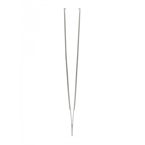 Student Surgical Standard Pattern Forceps